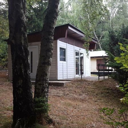 Bungalowdorf Klein Budelsdorf Altenberg  Esterno foto