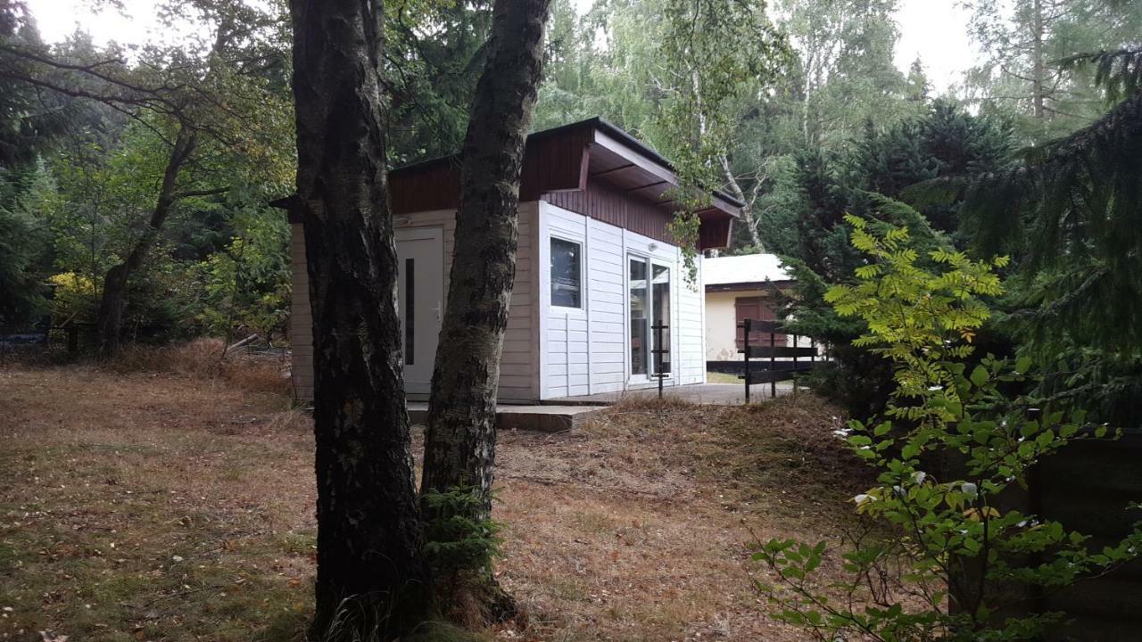 Bungalowdorf Klein Budelsdorf Altenberg  Esterno foto